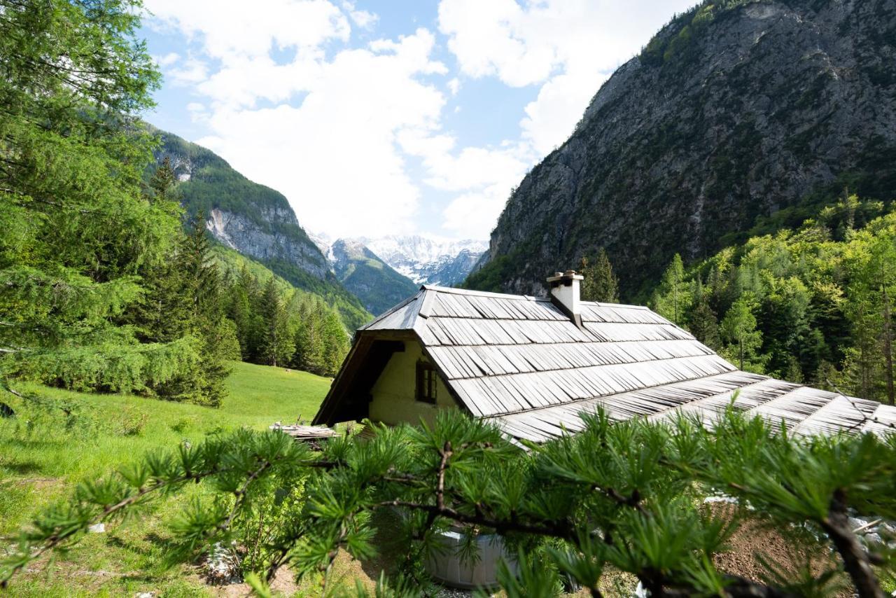 Wild Flower Cottage In Трента Екстер'єр фото