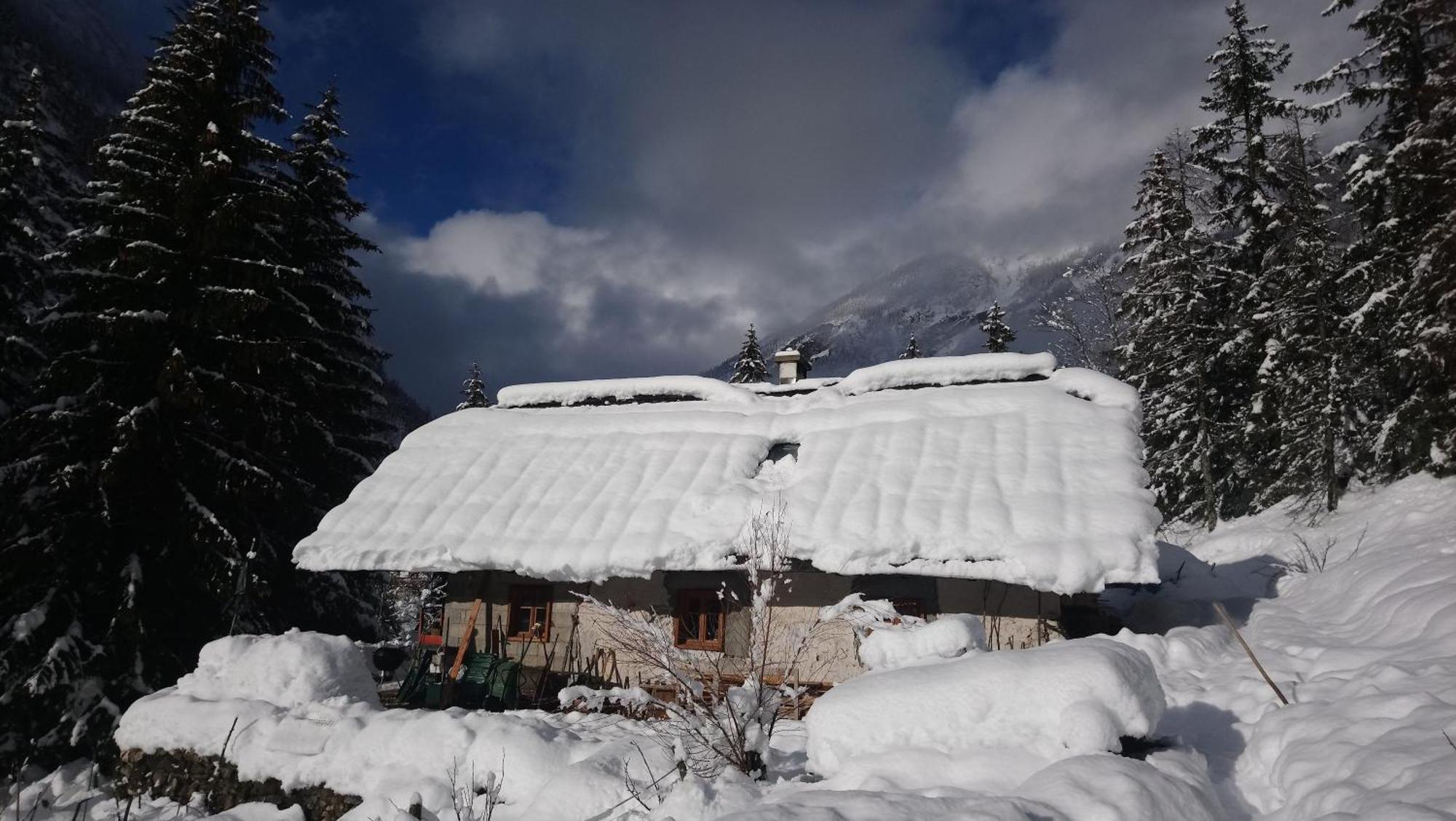 Wild Flower Cottage In Трента Екстер'єр фото